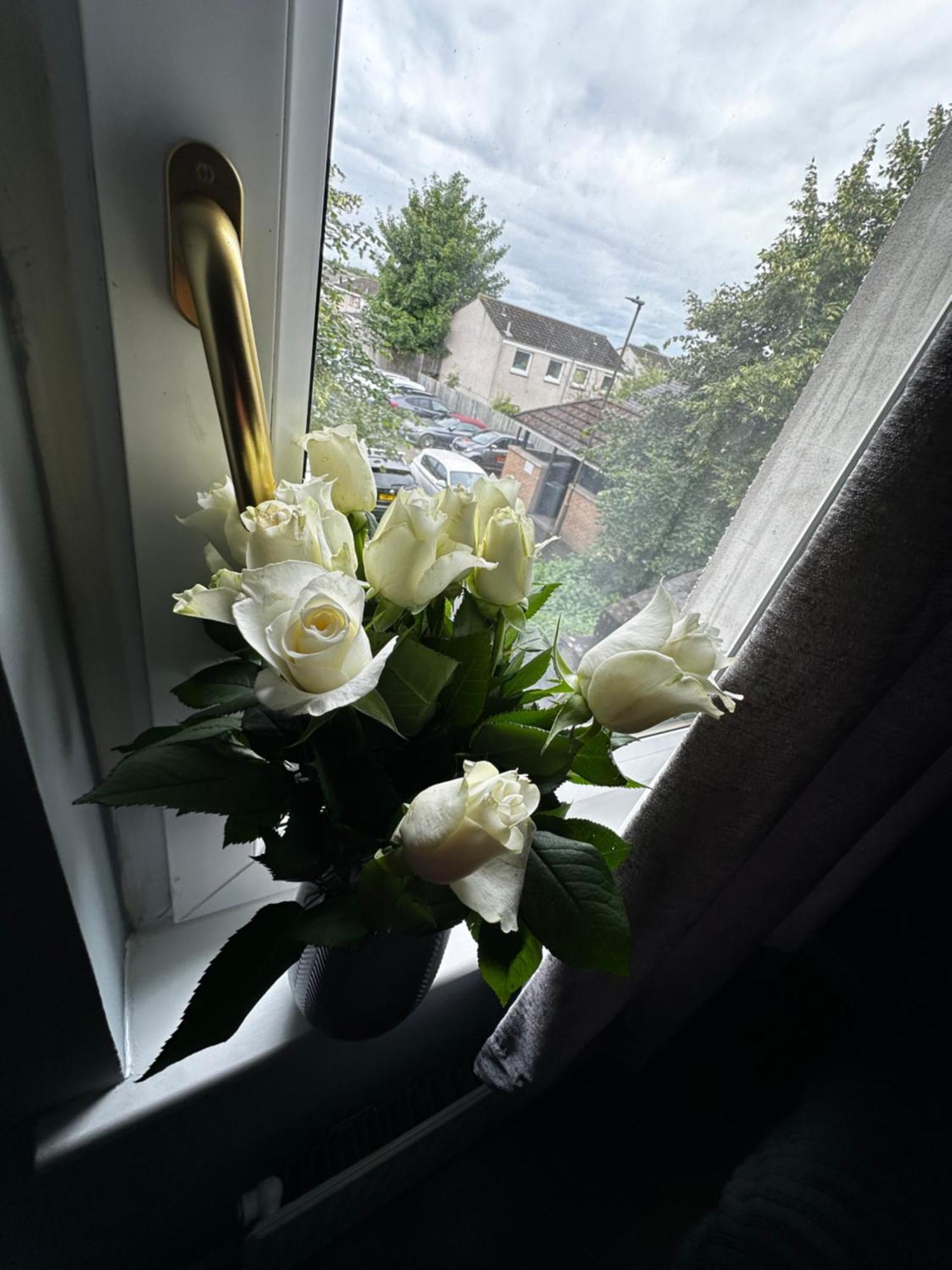 Dpsnew Appartement